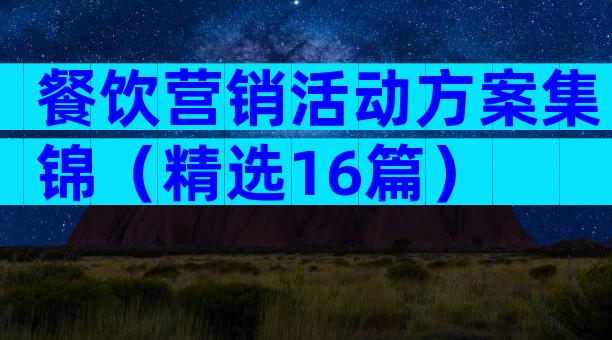 餐饮营销活动方案集锦（精选16篇）