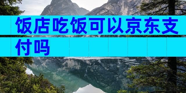 饭店吃饭可以京东支付吗