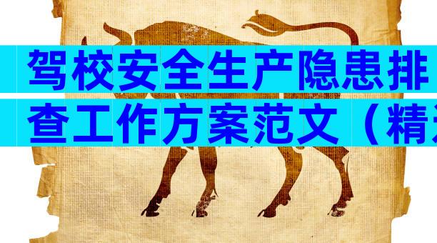 驾校安全生产隐患排查工作方案范文（精选29篇）
