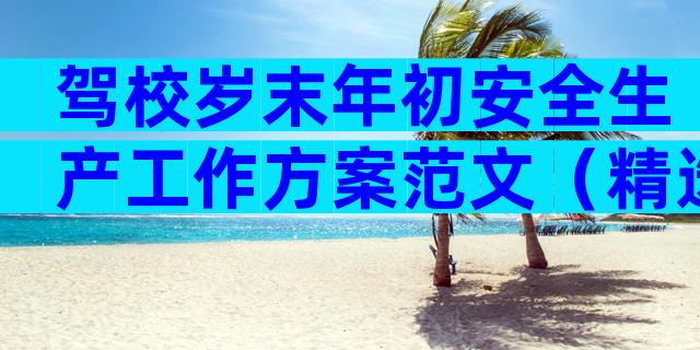 驾校岁末年初安全生产工作方案范文（精选31篇）