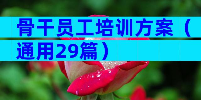 骨干员工培训方案（通用29篇）
