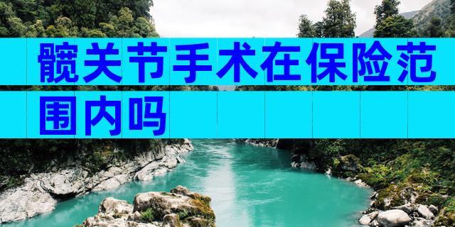 髋关节手术在保险范围内吗