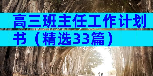 高三班主任工作计划书（精选33篇）