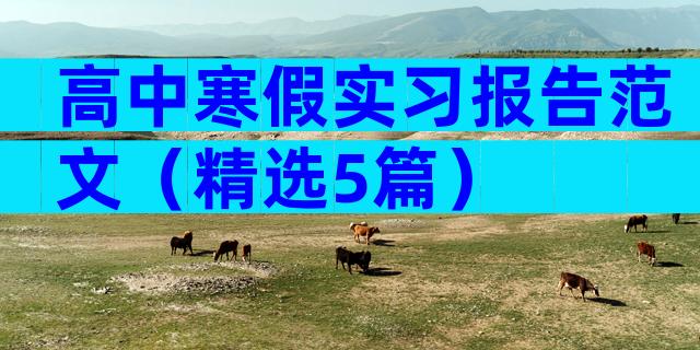 高中寒假实习报告范文（精选5篇）