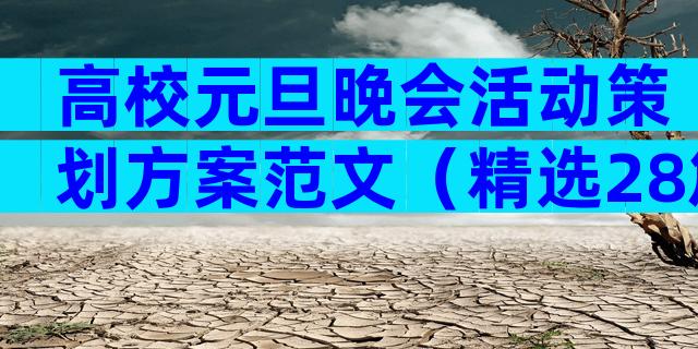 高校元旦晚会活动策划方案范文（精选28篇）