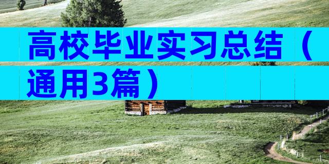 高校毕业实习总结（通用3篇）