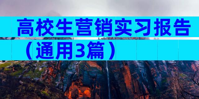 高校生营销实习报告（通用3篇）