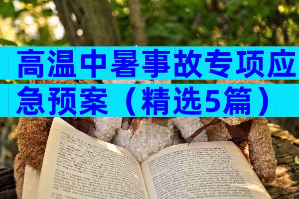 高温中暑事故专项应急预案（精选5篇）