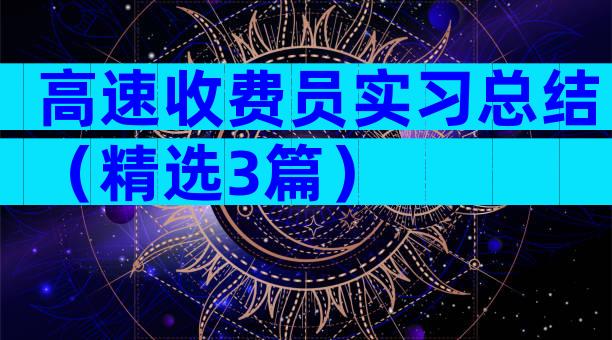 高速收费员实习总结（精选3篇）
