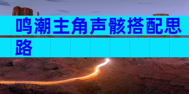 鸣潮主角声骸搭配思路