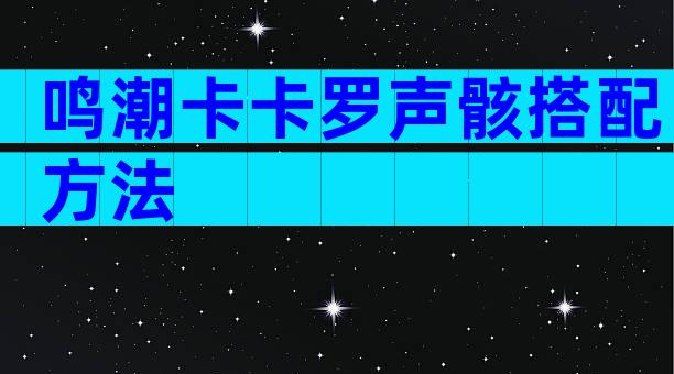 鸣潮卡卡罗声骸搭配方法